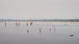 L'Oeil Vif Productions