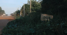 L'Oeil Vif Productions