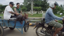 L'Oeil Vif Productions