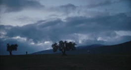 L'Oeil Vif Productions