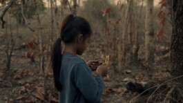 L'Oeil Vif Productions