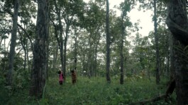 L'Oeil Vif Productions