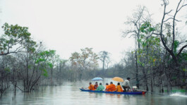 L'Oeil Vif Productions