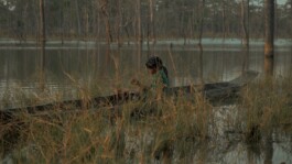 L'Oeil Vif Productions