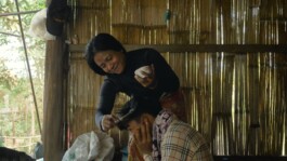 L'Oeil Vif Productions