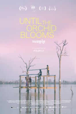 L'Oeil Vif Productions