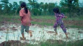 L'Oeil Vif Productions