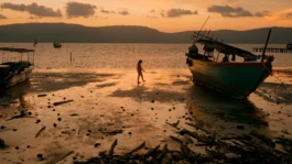 L'Oeil Vif Productions