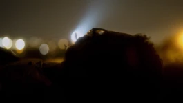 L'Oeil Vif Productions