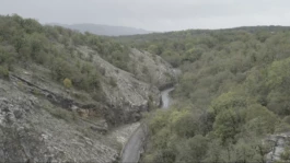 L'Oeil Vif Productions