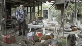 L'Oeil Vif Productions