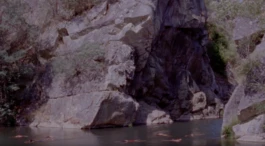 L'Oeil Vif Productions