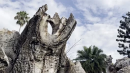 L'Oeil Vif Productions