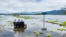 L'Oeil Vif Productions