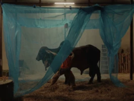 L'Oeil Vif Productions