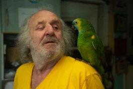 L'Oeil Vif Productions