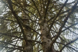 L'Oeil Vif Productions