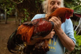 L'Oeil Vif Productions