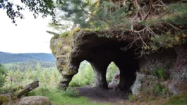 L'Oeil Vif Productions