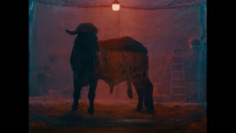 L'Oeil Vif Productions