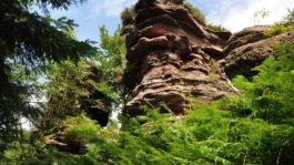 L'Oeil Vif Productions