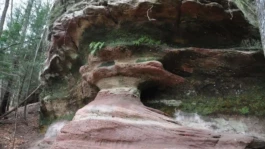 L'Oeil Vif Productions