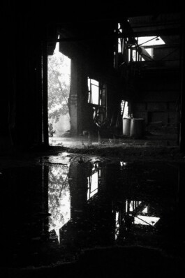L'Oeil Vif Productions